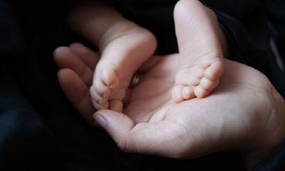 木命取什么名字好？带什么好？