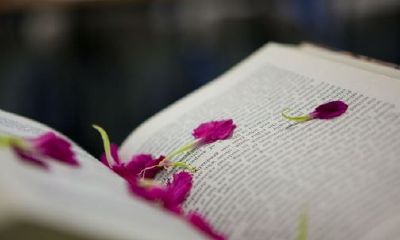 狗年姓双女孩名字大全 属狗双姓女宝宝起名2018