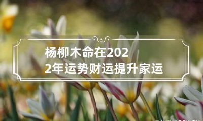 杨柳木命在2022年运势 财运提升家运亨通平安命