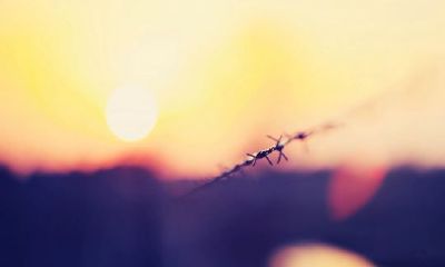 狗年姓莘女孩名字大全 属狗莘姓女宝宝起名2018