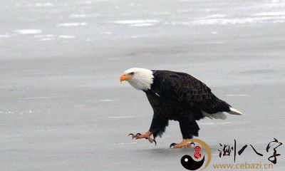 梦见在冰面走动