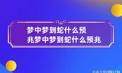 梦中梦到蛇什么预兆 梦中梦到蛇什么预兆女人