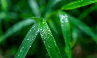 白露后天气会变冷吗？白露后有什么要预防的吗？