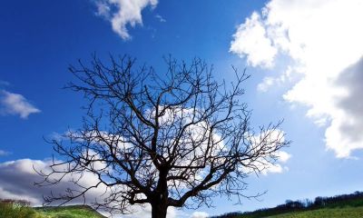 2019年11月16号出生的女宝宝五行缺土起名方法有哪些，宜用什么字