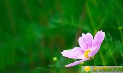 2019年3月29号晚上出生的女宝宝取名有哪些方法