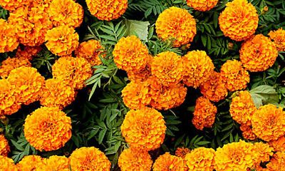 与天秤男的相处模式