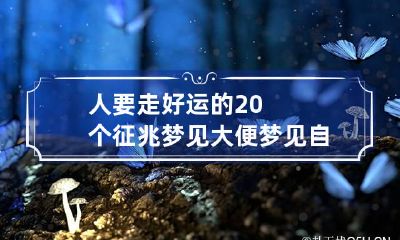 人要走好运的20个征兆梦见大便 梦见自己拉大便并且有别人看见运气怎么样