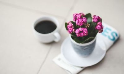 狗年姓闻女孩名字大全 属狗闻姓女宝宝起名2018