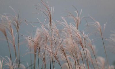 易经算命生辰八字测婚姻状况