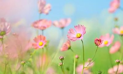 木命但缺金取名可以带金吗？可以用哪些字取名？