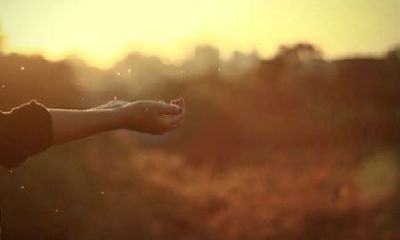 狗年姓濮女孩名字大全 属狗濮姓女宝宝起名2018