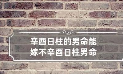 辛酉日柱的男命能嫁不 辛酉日柱男命
