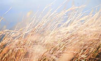 2020年农历九月初九重阳节出生五行缺土男孩名字