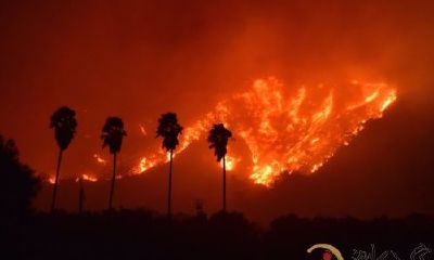 梦见大火烧山消灭后又点燃来