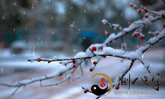 梦见下小雨被打湿