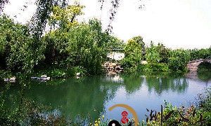 梦到爬满草的鱼塘