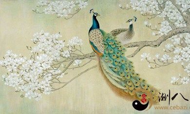 梦到非常漂亮的孔雀