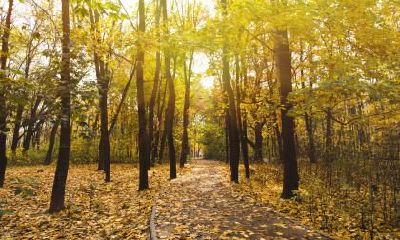 木命合适取什么样的名字？有什么方法？