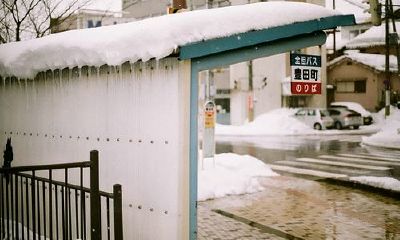 狗年姓尚女孩名字大全 属狗尚姓女宝宝起名2018