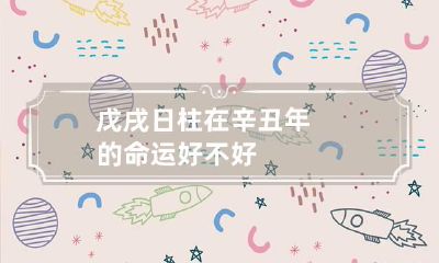 戊戌日柱在辛丑年的命运好不好