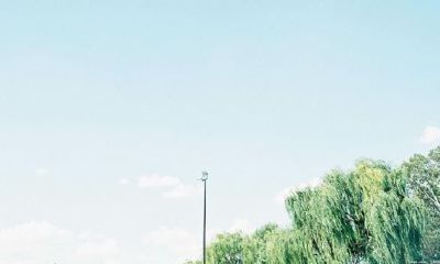 狗年姓古女孩名字大全 属狗古姓女宝宝起名2018