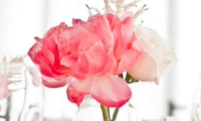 狗年姓瞿女孩名字大全 属狗瞿姓女宝宝起名2018