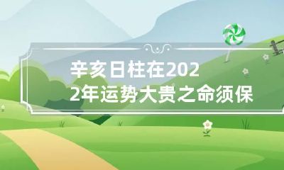 辛亥日柱在2022年运势 大贵之命须保障身心健康