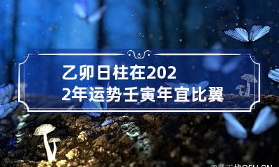 乙卯日柱在2022年运势 壬寅年宜比翼双飞喜结良缘