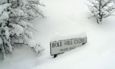 狗年姓浦女孩名字大全 属狗浦姓女宝宝起名2018