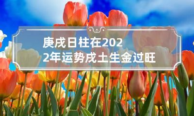 庚戌日柱在2022年运势 戌土生金过旺易致身心乏力