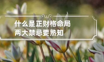 什么是正财格命局 两大禁忌要熟知