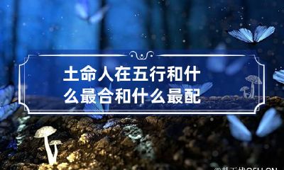 土命人在五行和什么最合 和什么最配