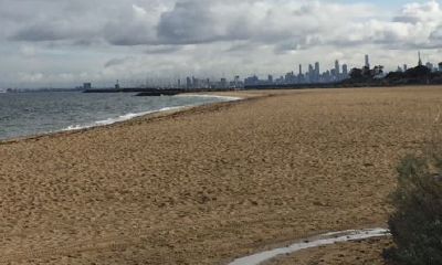 狗年姓饶女孩名字大全 属狗饶姓女宝宝起名2018