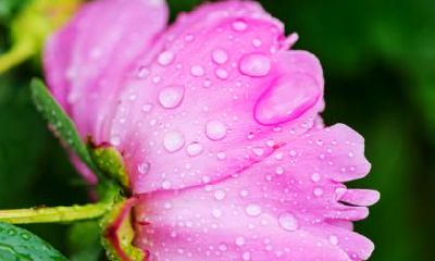 2019年白露节气在哪天？2019年白露的凶时在几点？