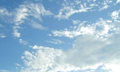 狗年姓毋女孩名字大全 属狗毋姓女宝宝起名2018