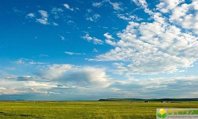2019年夏至节气是几月几号，夏至出生的女宝宝起什么名字好