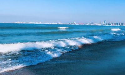 狗年姓简女孩名字大全 属狗简姓女宝宝起名2018