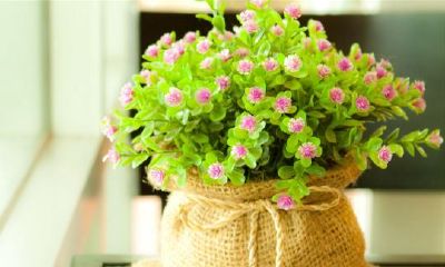 狗年姓融女孩名字大全 属狗融姓女宝宝起名2018