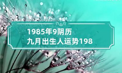 1985年9阴历九月出生人运势 1985年9月9日出生的人命运怎么样