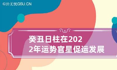 癸丑日柱在2022年运势 官星促运发展皆为上乘