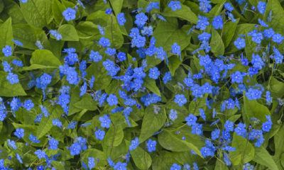 狗年姓訾女孩名字大全 属狗訾姓女宝宝起名2018