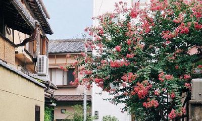 狗年姓蒯女孩名字大全 属狗蒯姓女宝宝起名2018