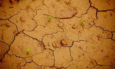 2021年农历六月十二日出生的女孩五行缺什么，起什么名字好？