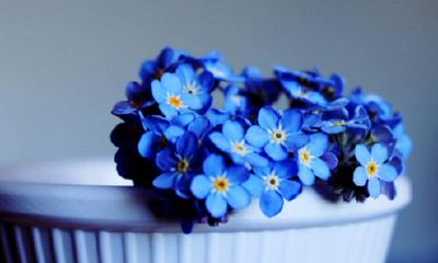 狗年姓辛女孩名字大全 属狗辛姓女宝宝起名2018