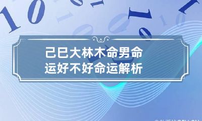 己巳大林木命男命运好不好 命运解析