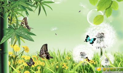 2019年10月30号出生的女宝宝五行缺木该如何起名，宜用字是哪些