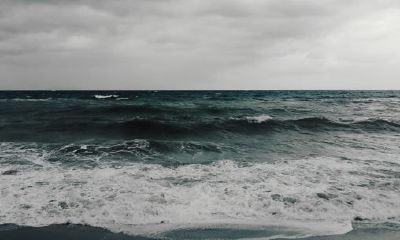 狗年姓权女孩名字大全 属狗权姓女宝宝起名2018