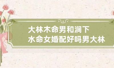 大林木命男和涧下水命女婚配好吗 男大林木女涧下水命相配吗