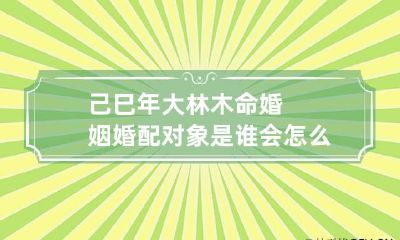 己巳年大林木命婚姻 婚配对象是谁会怎么样