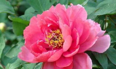 2019年8月25号出生的女宝宝五行缺土起名宜用字